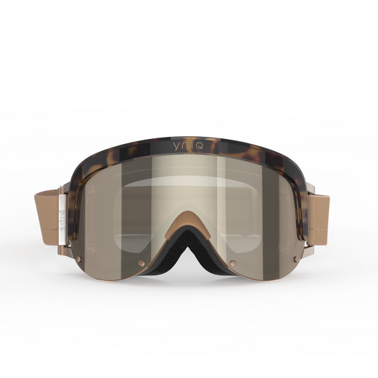 Model One- Sandstone Tortoise